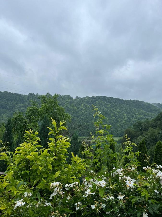 Villa Nature Bihać エクステリア 写真