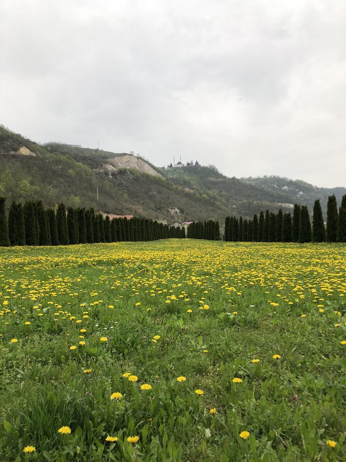 Villa Nature Bihać エクステリア 写真